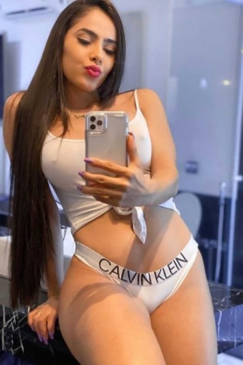 Ludhiana escort service